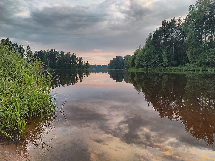 8. Разобрать / Вложения / Спокойный вечер на реке, зеркальная гладь воды, камыши, лиственные и хвойные деревья на берегах.jpg Спокойный вечер на реке, зеркальная гладь воды, камыши, лиственные и хвойные деревья на берегах.jpg